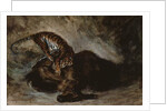 Tiger attacking a horse by Ferdinand Victor Eugene Delacroix