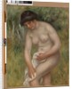 Nude, Green Background, 1902 by Pierre Auguste Renoir