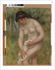 Nude, Green Background, 1902 by Pierre Auguste Renoir