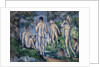 Group of Bathers, 1892-94 by Paul Cezanne