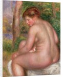 Nude, Back View, 1911 by Pierre Auguste Renoir