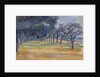 The Allee at Marines, 1898 by Paul Cezanne