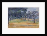 The Allee at Marines, 1898 by Paul Cezanne