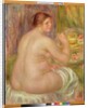 Seated Nude, the Pregnant Woman by Pierre Auguste Renoir