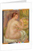 Seated Nude, the Pregnant Woman by Pierre Auguste Renoir