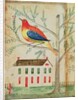 House and Bird in a Tree by School American