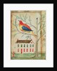 House and Bird in a Tree by School American