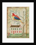 House and Bird in a Tree by School American