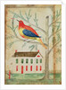 House and Bird in a Tree by School American