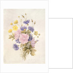 Field Flowers, 1842 by French School
