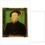 Man with a Feather in his Hat by Corneille de Lyon