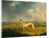 Reverend Henry Bate Dudley's Greyhound 'The Miller', 1799 by Henry Bernard Chalon