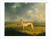 Reverend Henry Bate Dudley's Greyhound 'The Miller', 1799 by Henry Bernard Chalon