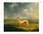 Reverend Henry Bate Dudley's Greyhound 'The Miller', 1799 by Henry Bernard Chalon