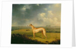 Reverend Henry Bate Dudley's Greyhound 'The Miller', 1799 by Henry Bernard Chalon