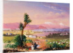 A View of Mexico City, 1878 by Conrad Wise Chapman