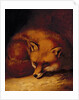 A Fox, 1817 by Abraham Cooper