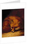 A Fox, 1817 by Abraham Cooper