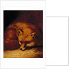 A Fox, 1817 by Abraham Cooper