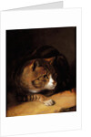 A Tabby Cat, 1817 by Abraham Cooper