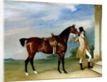 Miss Villebois' Bay Hunter held by a Groom, 1834 by John E. Ferneley