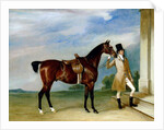 Miss Villebois' Bay Hunter held by a Groom, 1834 by John E. Ferneley