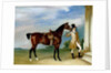 Miss Villebois' Bay Hunter held by a Groom, 1834 by John E. Ferneley