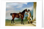 Miss Villebois' Bay Hunter held by a Groom, 1834 by John E. Ferneley