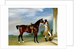 Miss Villebois' Bay Hunter held by a Groom, 1834 by John E. Ferneley