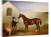 Mr Meakin holding Sir Robert Peel's Chestnut Hunter with his dogs 'Hector' and 'Jem', 1853 by John E. Ferneley