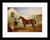 Mr Meakin holding Sir Robert Peel's Chestnut Hunter with his dogs 'Hector' and 'Jem', 1853 by John E. Ferneley