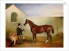 Mr Meakin holding Sir Robert Peel's Chestnut Hunter with his dogs 'Hector' and 'Jem', 1853 by John E. Ferneley