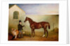 Mr Meakin holding Sir Robert Peel's Chestnut Hunter with his dogs 'Hector' and 'Jem', 1853 by John E. Ferneley