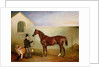 Mr Meakin holding Sir Robert Peel's Chestnut Hunter with his dogs 'Hector' and 'Jem', 1853 by John E. Ferneley