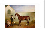 Mr Meakin holding Sir Robert Peel's Chestnut Hunter with his dogs 'Hector' and 'Jem', 1853 by John E. Ferneley
