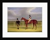 The Hon. E. Petre's 'Rowton', winner of the St. Leger with Bill Scott up, 1829 by John Frederick Herring Snr