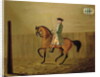 Gentleman on a Bay Horse in a Riding School, 1766 by Thomas Parkinson