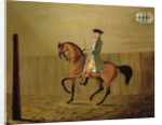 Gentleman on a Bay Horse in a Riding School, 1766 by Thomas Parkinson