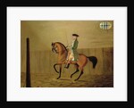 Gentleman on a Bay Horse in a Riding School, 1766 by Thomas Parkinson