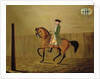 Gentleman on a Bay Horse in a Riding School, 1766 by Thomas Parkinson