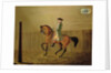Gentleman on a Bay Horse in a Riding School, 1766 by Thomas Parkinson