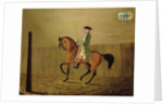 Gentleman on a Bay Horse in a Riding School, 1766 by Thomas Parkinson