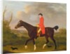 A Gentleman on his Hunter riding to Hounds, 1783 by Francis Sartorius