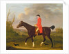 A Gentleman on his Hunter riding to Hounds, 1783 by Francis Sartorius