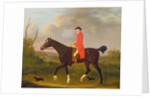 A Gentleman on his Hunter riding to Hounds, 1783 by Francis Sartorius