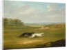 Running, a Coursing Scene, 1816 by John Nost Sartorius