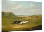 Running, a Coursing Scene, 1816 by John Nost Sartorius