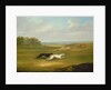 Running, a Coursing Scene, 1816 by John Nost Sartorius