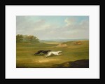 Running, a Coursing Scene, 1816 by John Nost Sartorius