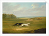 Running, a Coursing Scene, 1816 by John Nost Sartorius